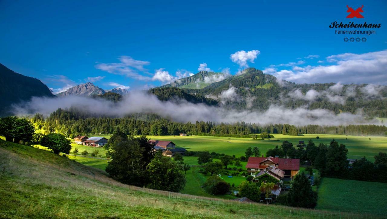 Ferienwohnungen Scheibenhaus 奥伯斯特多夫 外观 照片